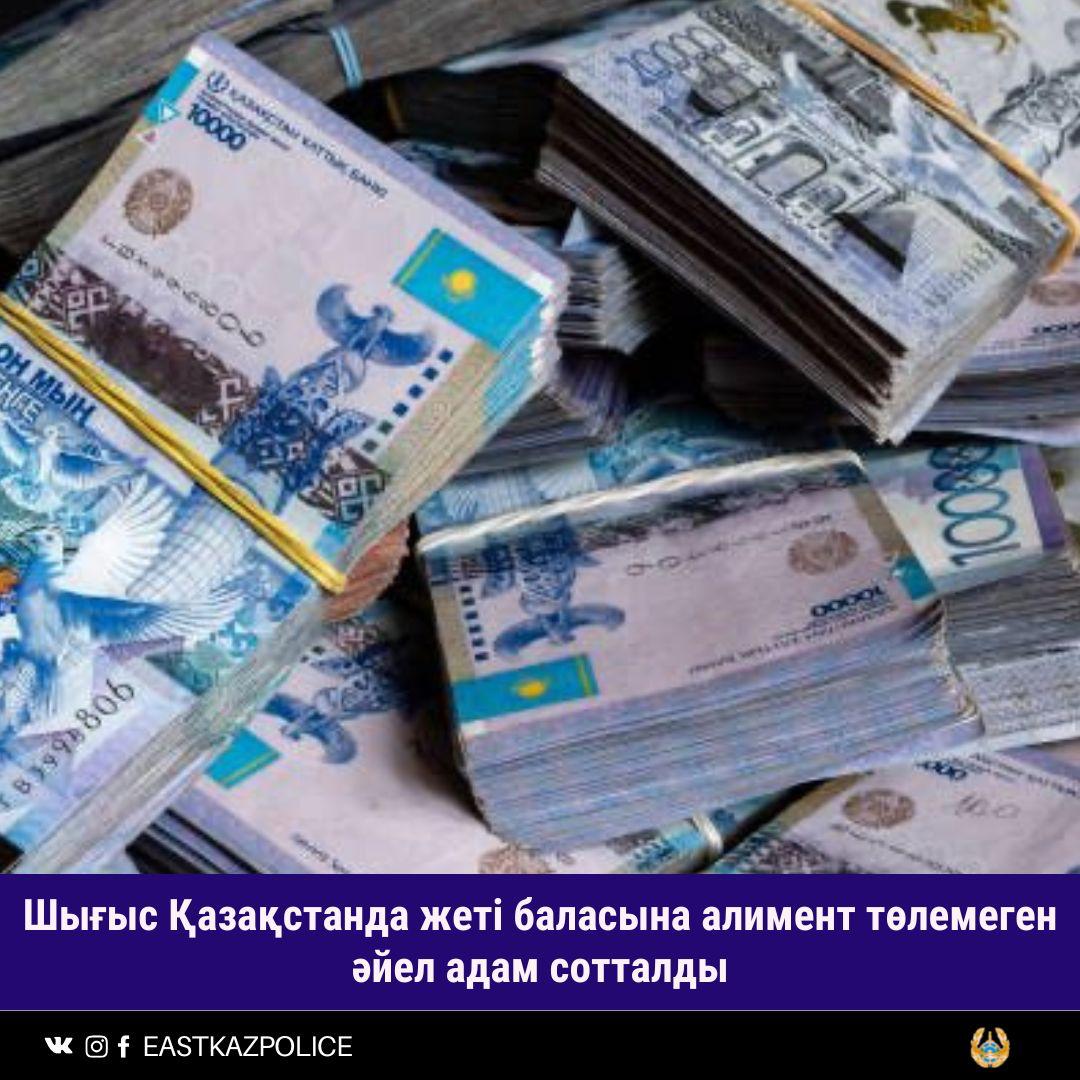 В Восточном Казахстане жительница осуждена за неуплату алиментов на семерых детей