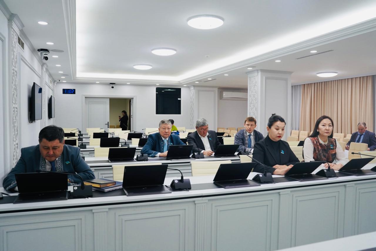 Заседание постоянной комиссии по вопросу отчуждения земельных участков (14.03.2025)