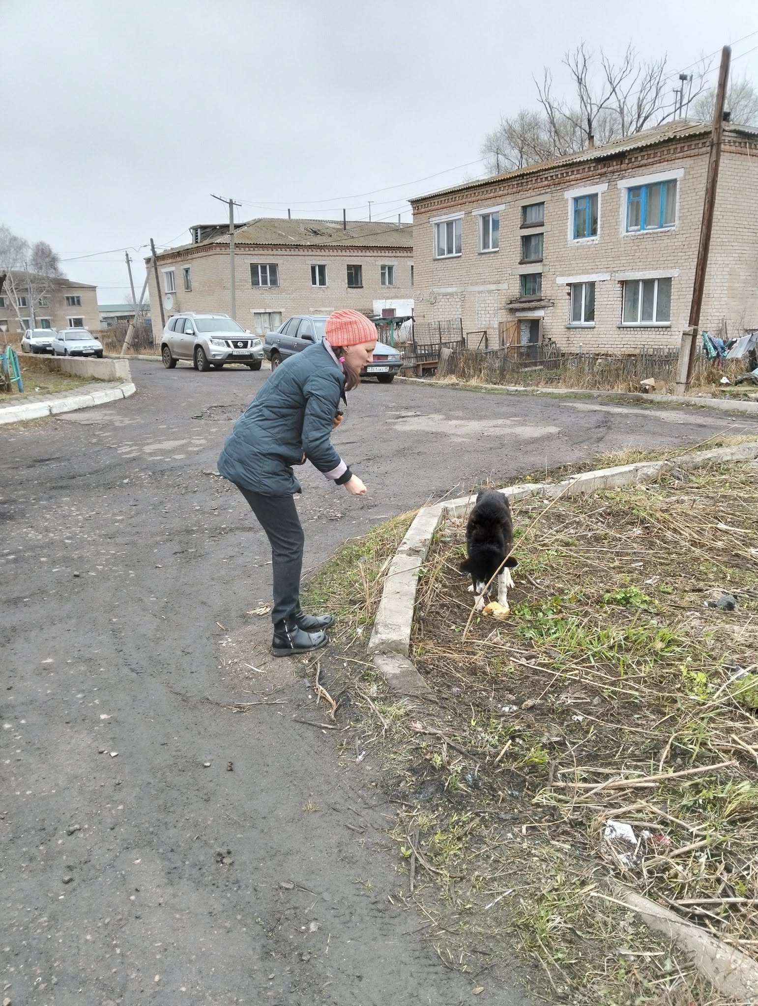 в городе Мамлютка прошел субботник