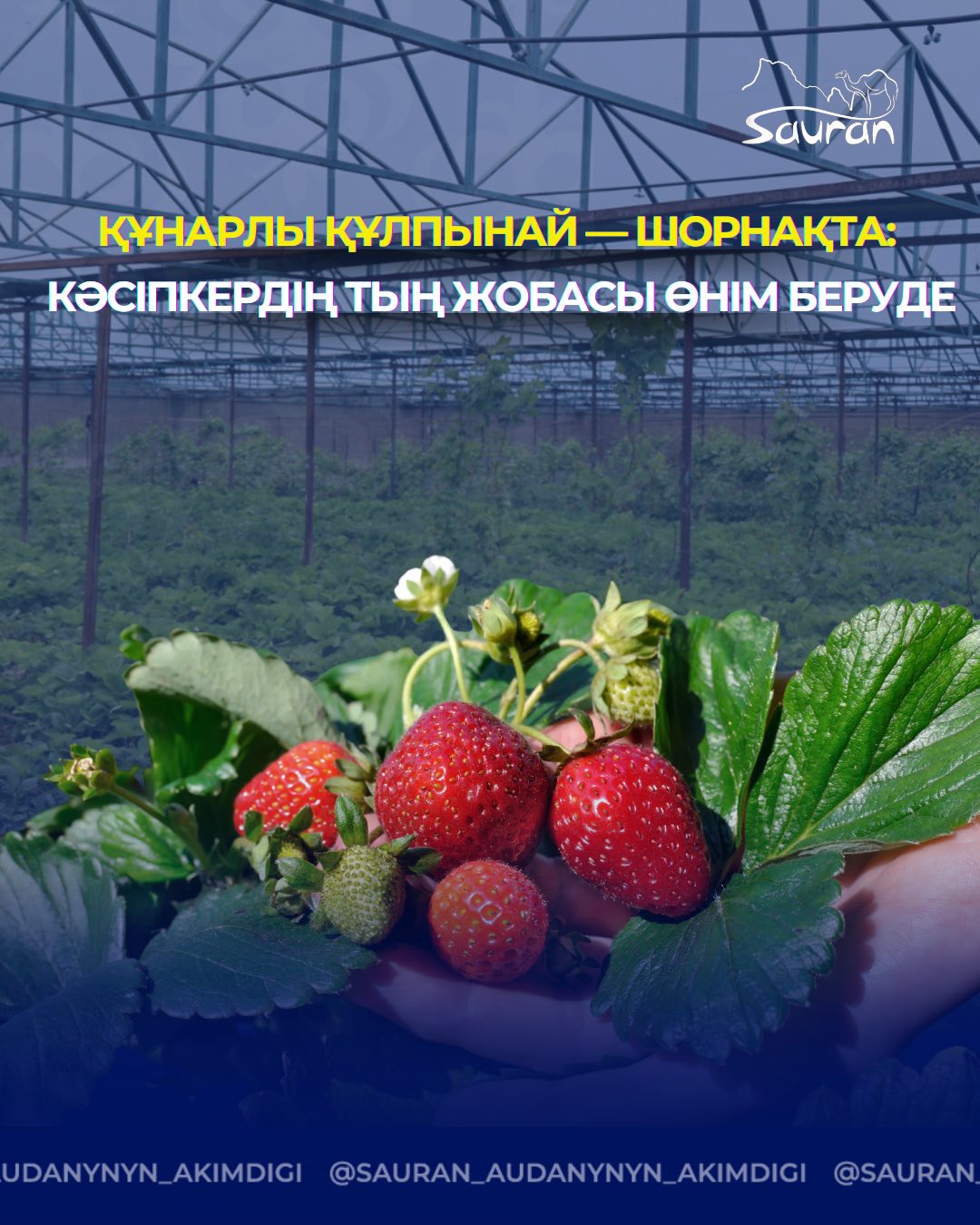 НАМЕРЕННЫЙ ПРОЕКТ ПРЕДПРИНИМАТЕЛЯ ПРИНОСИТ ПЛОДЫ