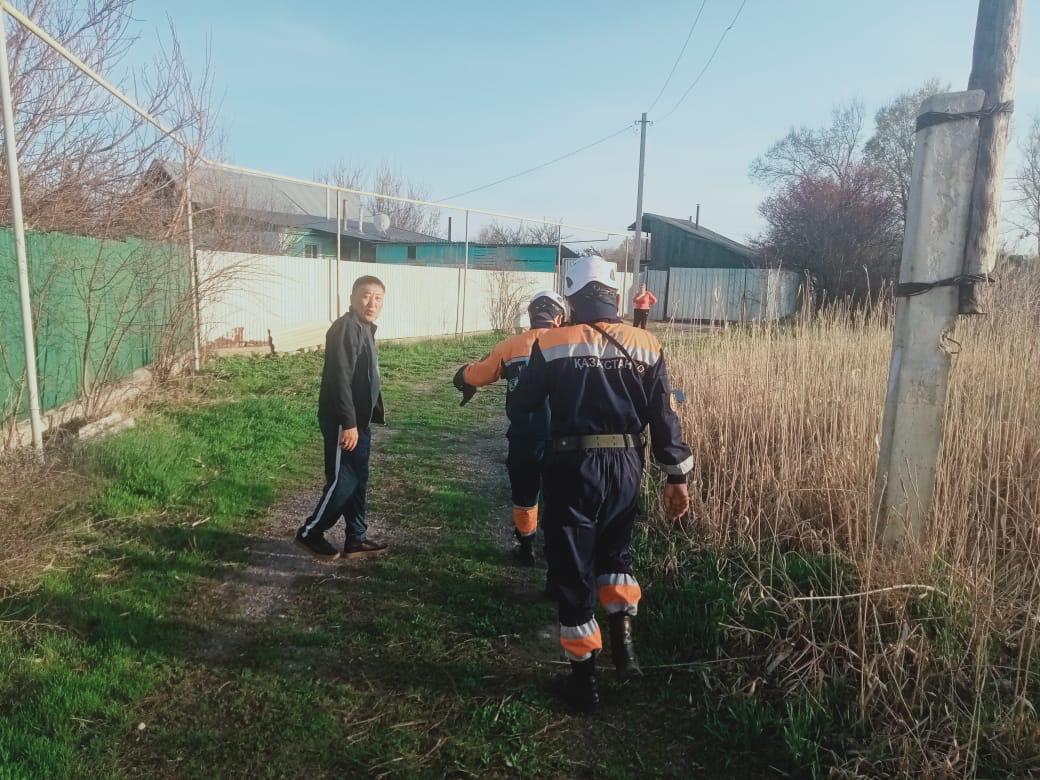 Спасатели МЧС поймали двух змей в частном доме