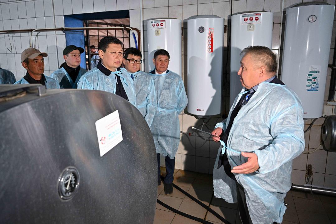 Аким области Абай ознакомился с работой крестьянского хозяйства «Өрнек»