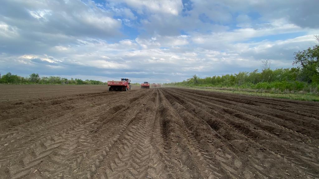 В Карагандинской области началась посевная