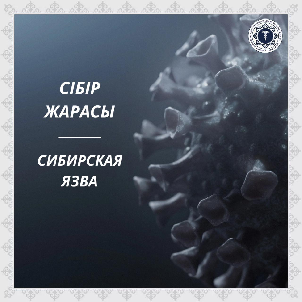 Сибирская язва