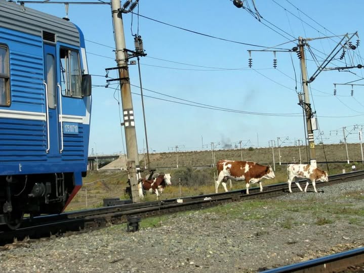 ЖЕЛЕЗНАЯ ДОРОГА – ЗОНА ПОВЫШЕННОЙ ОПАСНОСТИ !!!