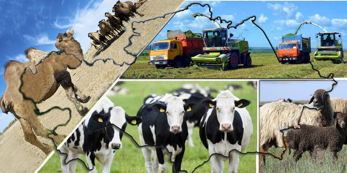 Жиенәлі ауылдық округінде Малшылар күнінде  ауыл азаматтары құрмет грамотасымен марапатталды.
