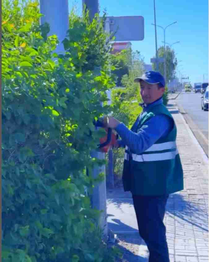В районе Сарыарка продолжаются работы по уходу за зелеными насаждениями