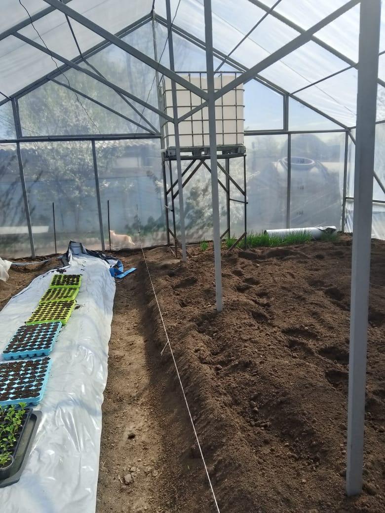 Гранты для сельских предпринимателей: как проект «Batys AgroHub» помогает развивать тепличное хозяйство