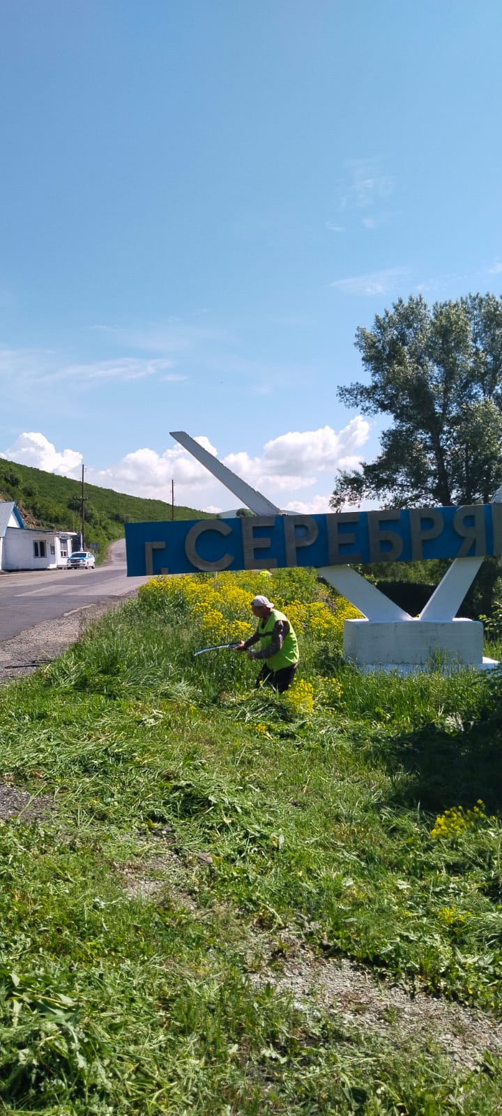 В рамках республиканской экологической акции «Таза Қазақстан» на въезде в город Серебрянск проводится санитарная уборка территории