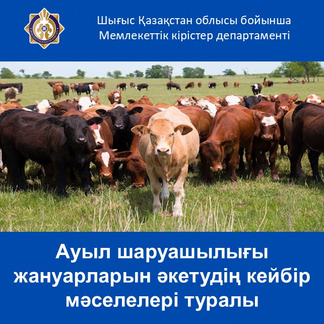 О некоторых вопросах вывоза сельскохозяйственных животных