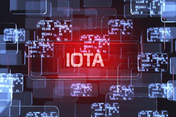 Международный форум IOTA: внедрение мер по противодействию размывания налоговой базы и перемещению прибыли