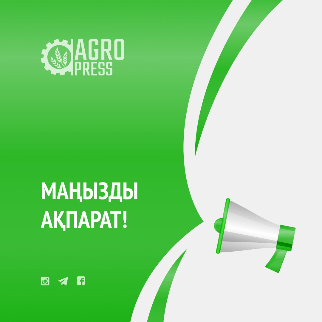 О работе сall-центра и Telegram-чата для оперативного реагирования на обращения