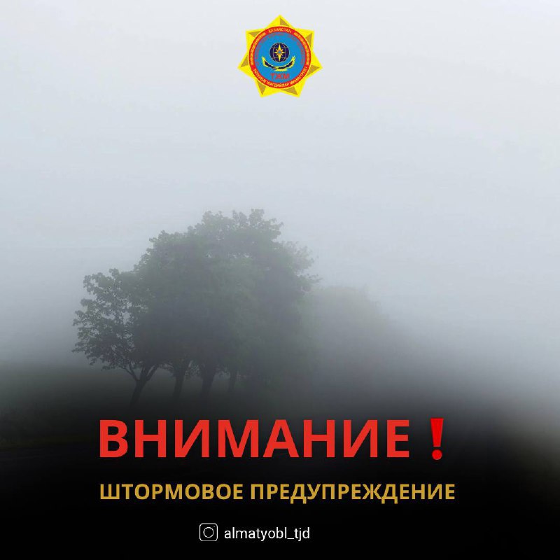 Штормовое предупреждение