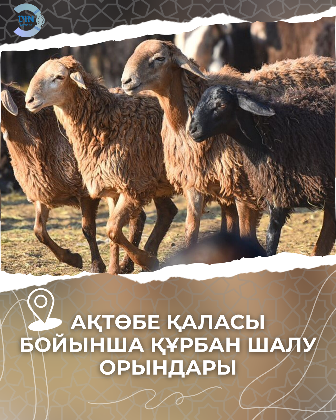 В городе Актобе определены 4 места для жертвоприношения.