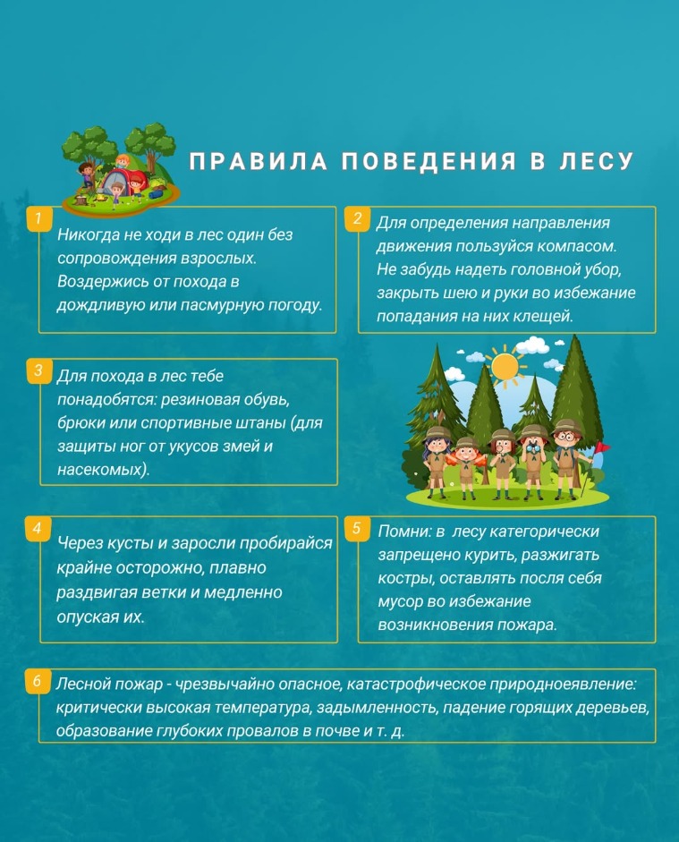 Важно соблюдать меры безопасности в лесу.