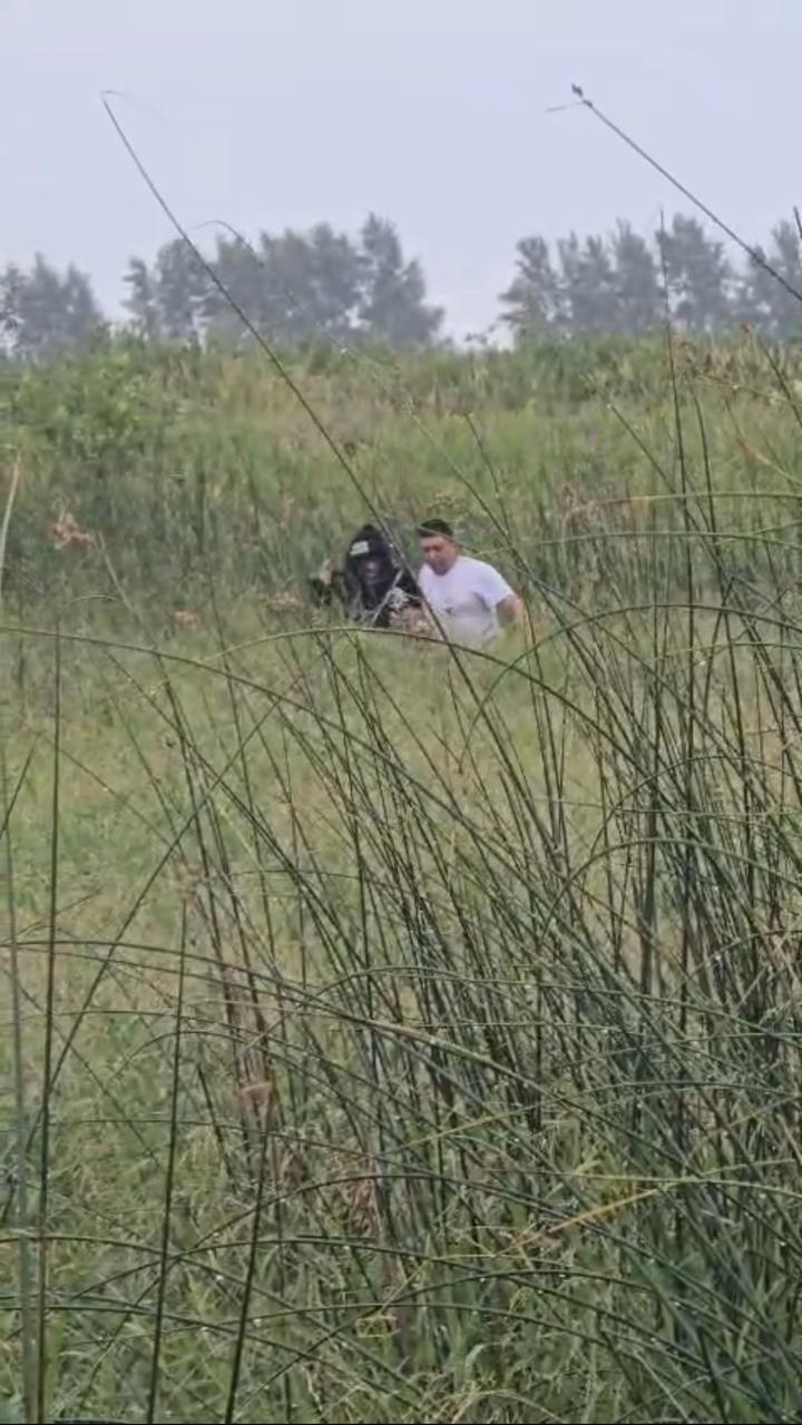 Заблудившуюся девушку вывели из болота полицейские в СКО