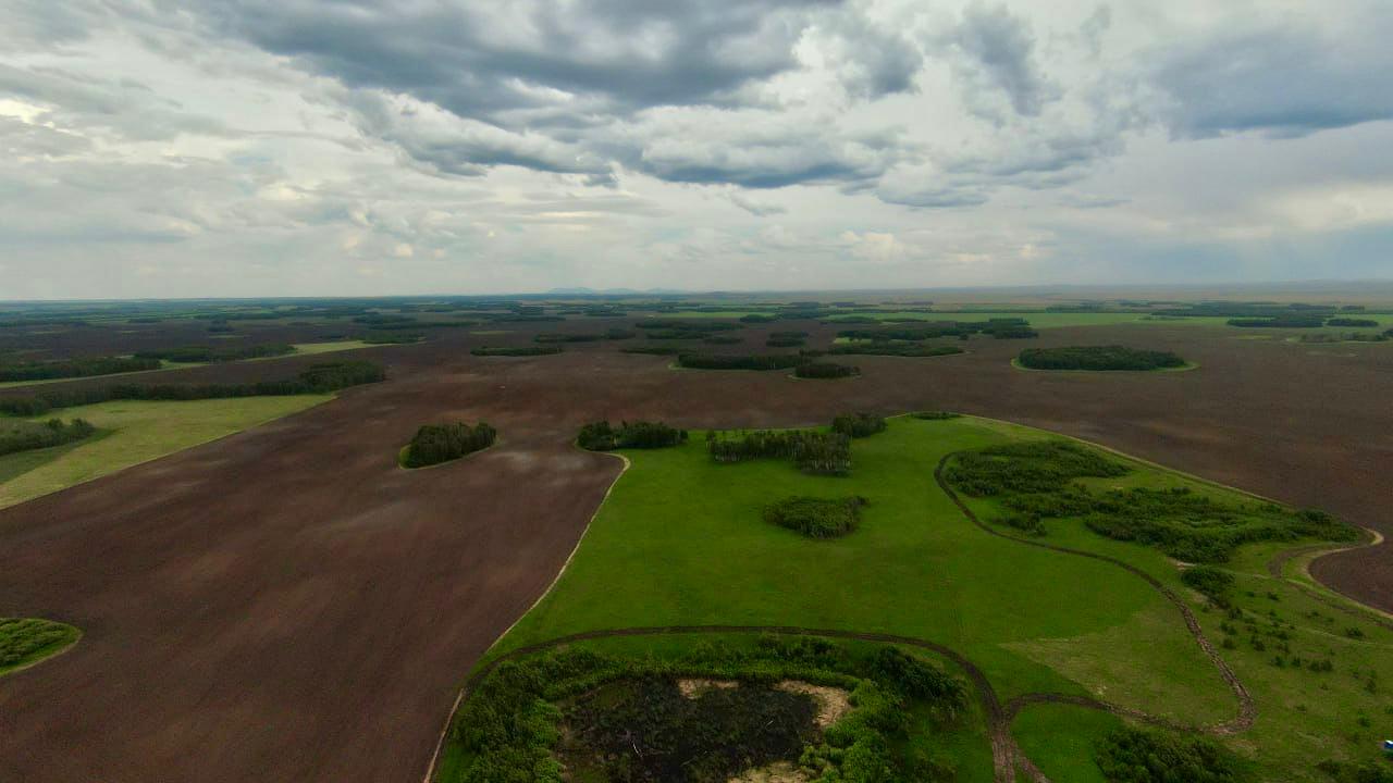 Акмолинская область завершила посевную кампанию