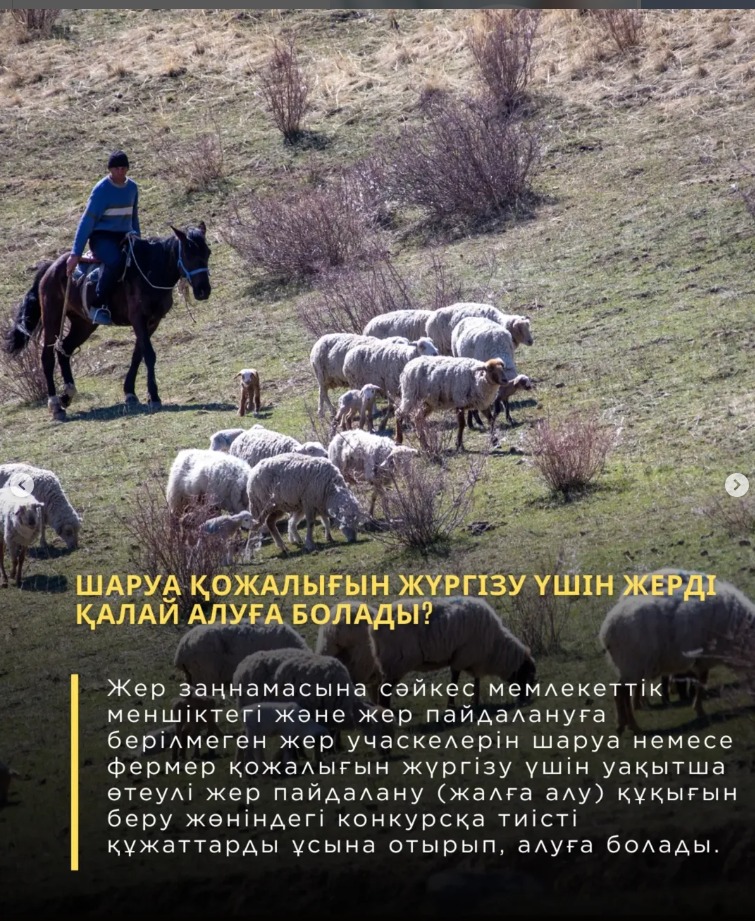 ОТВЕТЫ НА ВОПРОСЫ, НАИБОЛЕЕ ЧАСТО ЗАДАВАЕМЫЕ ЖИТЕЛЯМИ ОБЛАСТИ ЖЕТІСУ