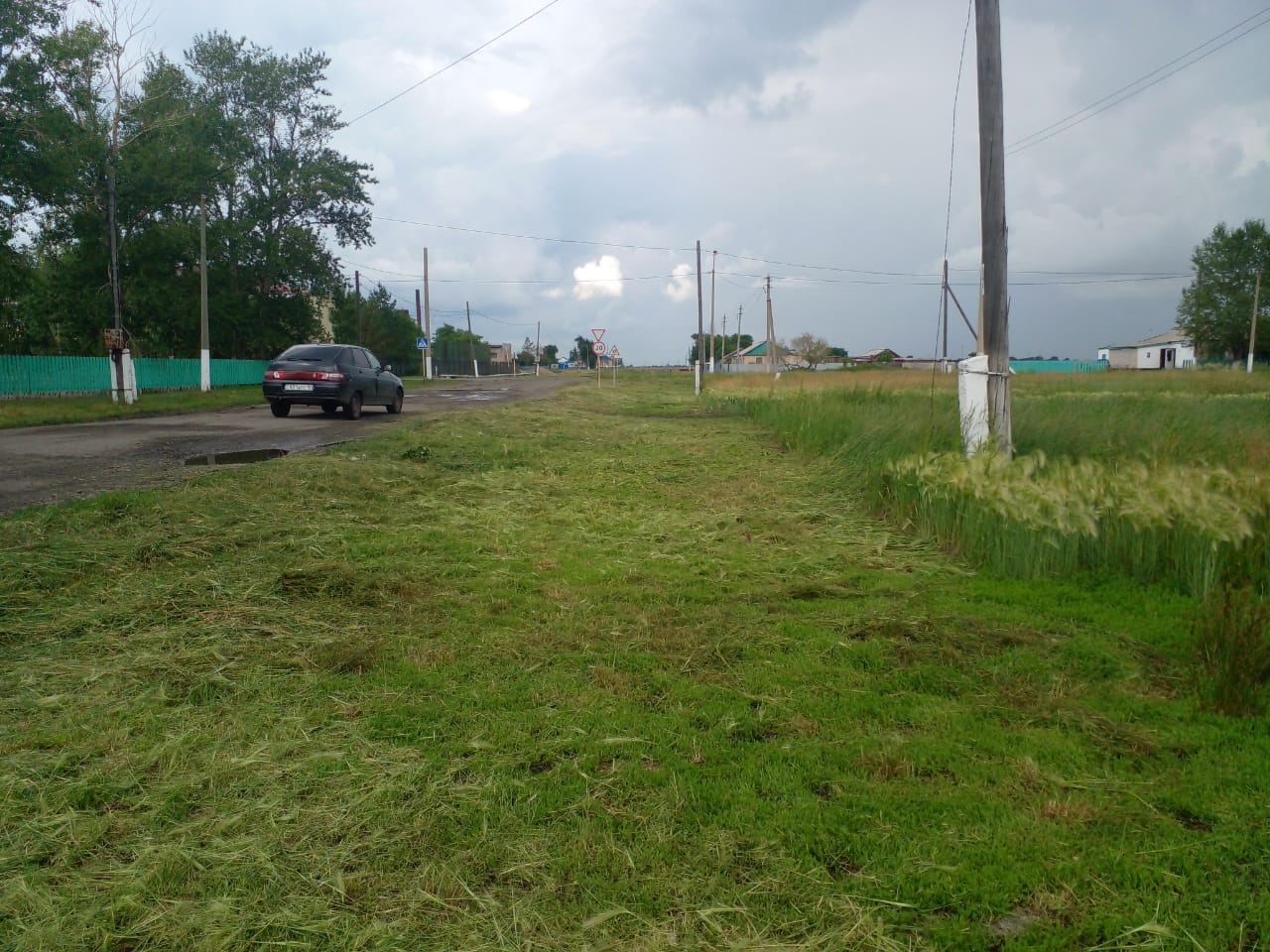 В селе Костряковка в рамках республиканской экологической программы «Таза Қазақстан» интенсивно ведутся работы по благоустройству.