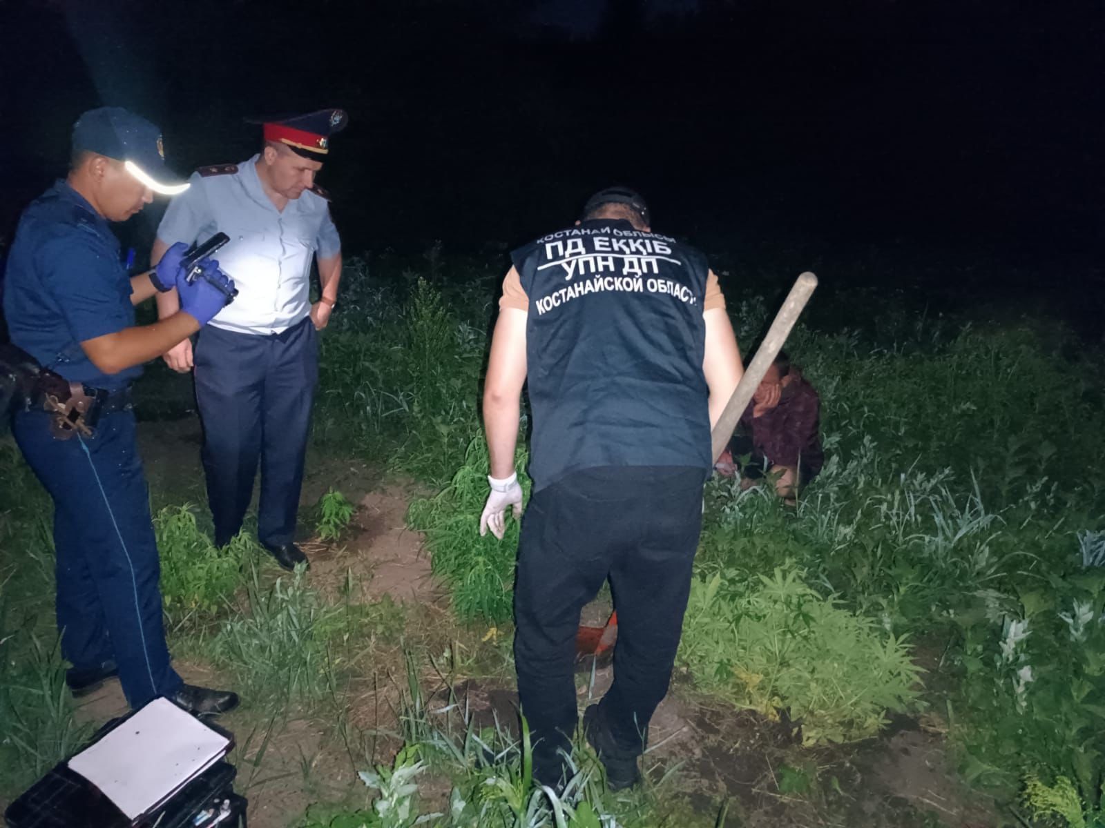 Незаконная плантация: в районе Б.Майлина задержан мужчина с кустами каннабиса
