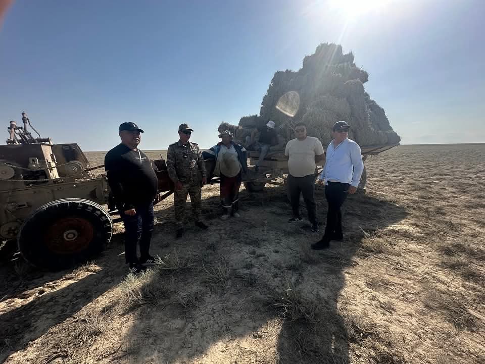 В Каракиянском районе началась заготовка сена