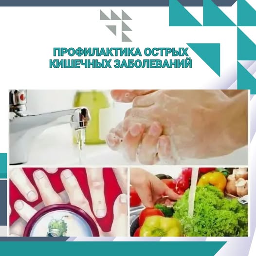 Профилактика острых кишечных заболеваний