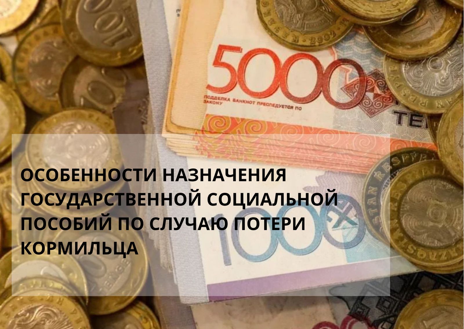 Особенности назначения государственной социальной пособий по случаю потери кормильца