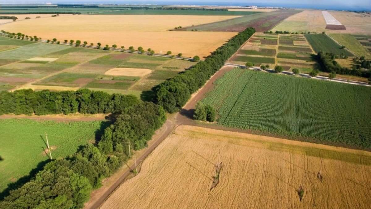 1 МЛН ГЕКТАРОВ ЗЕМЛИ ВОЗВРАЩЕНО ГОСУДАРСТВУ В ТУРКЕСТАНСКОЙ ОБЛАСТИ