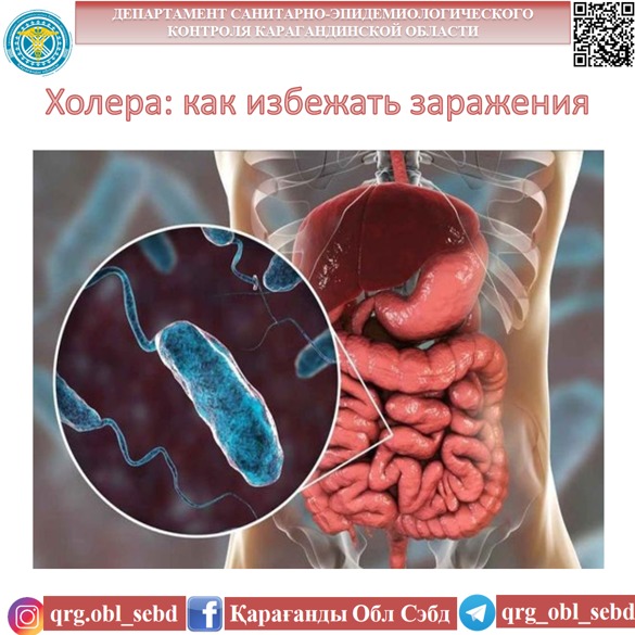 Холера: как избежать заражения