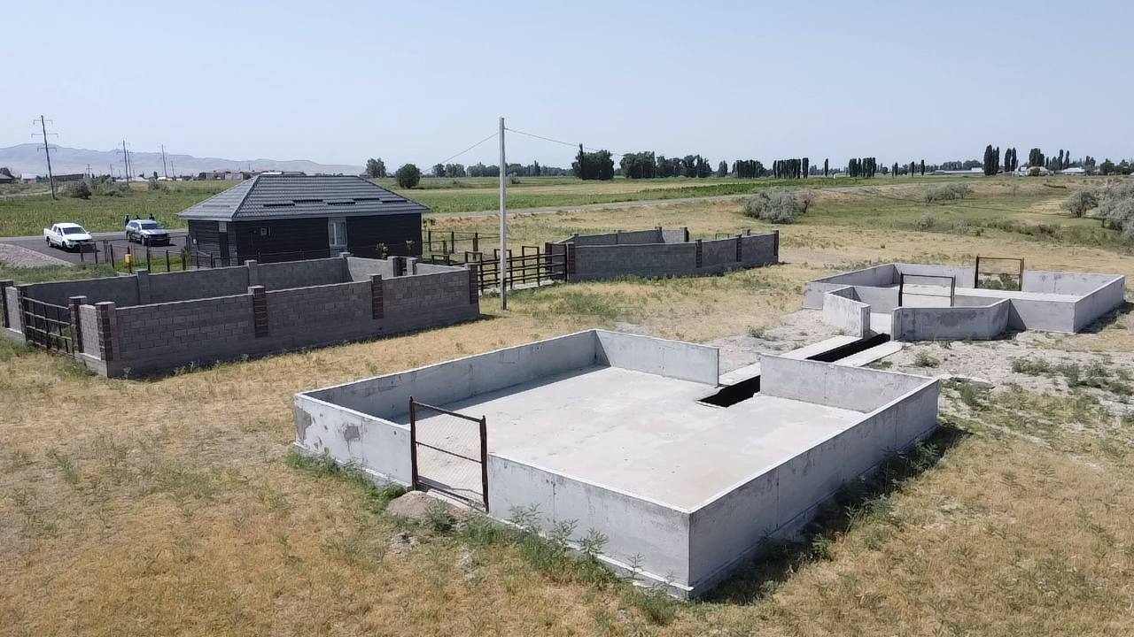 Что вы знаете о купке овец и коз?