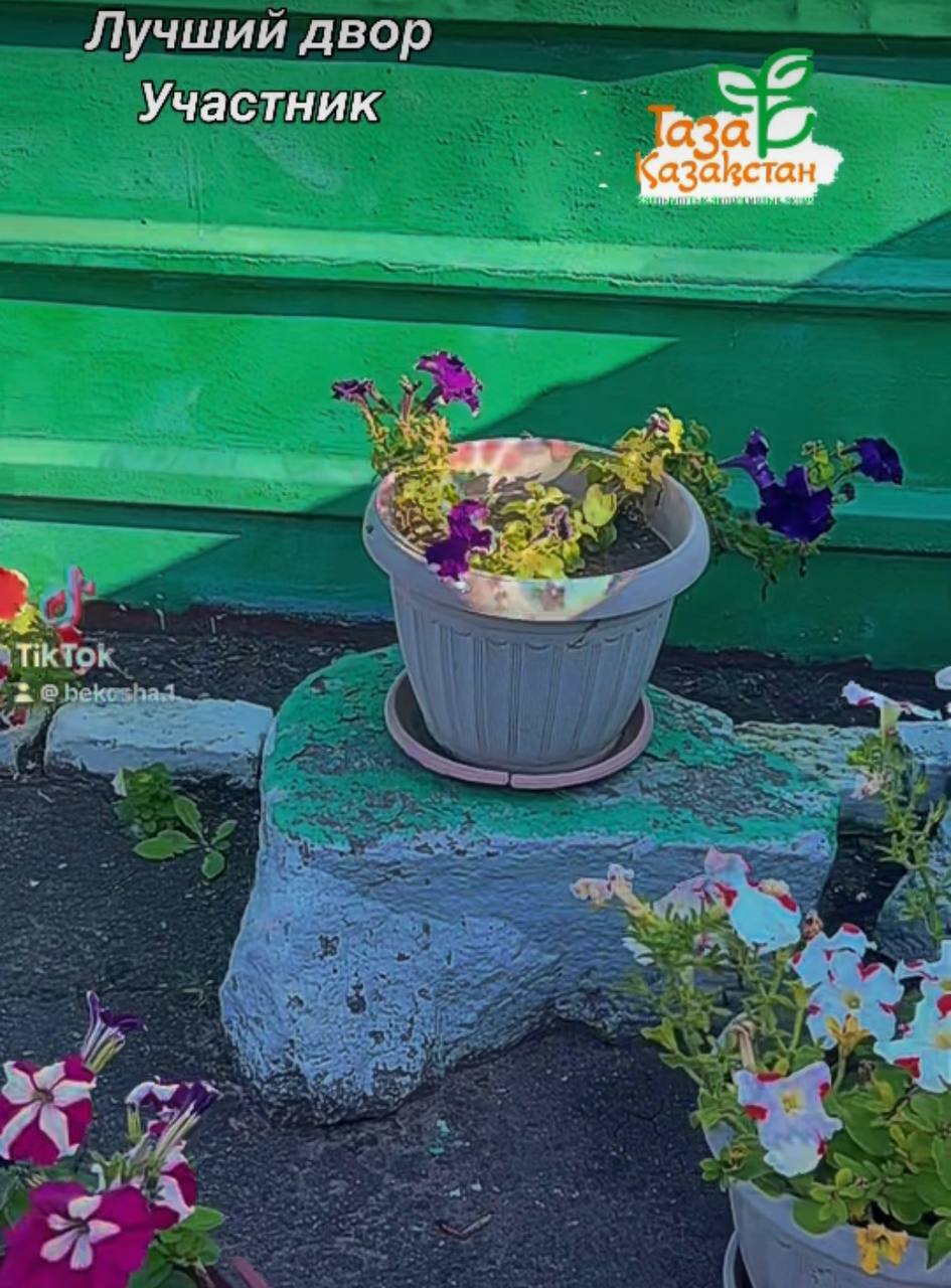 «Лучший двор» — “Таза Қазақстан” 🌿