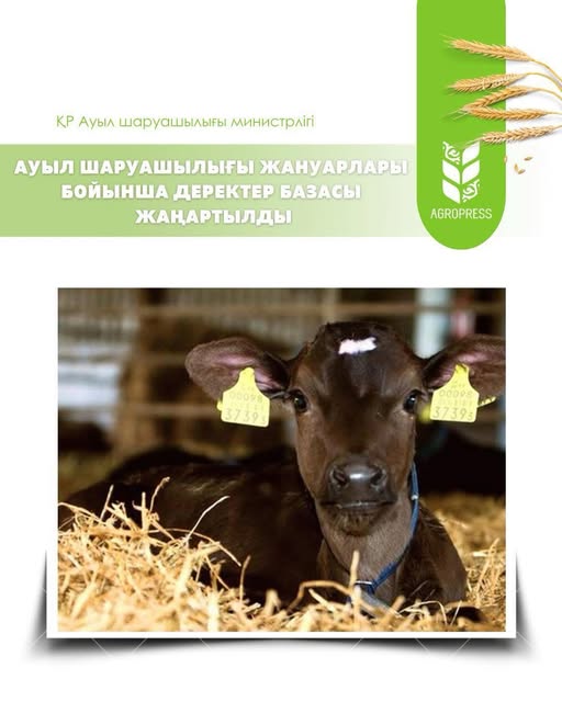 Актуализирована база данных сельхозживотных