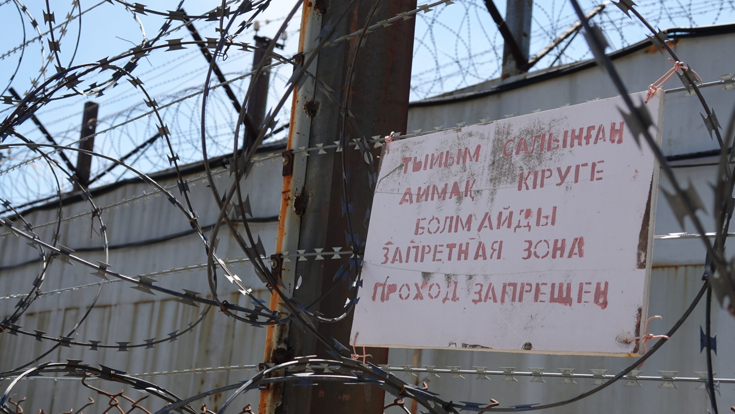 Общественный защитник уличена в попытке передачи запрещённого предмета подследственному сыну