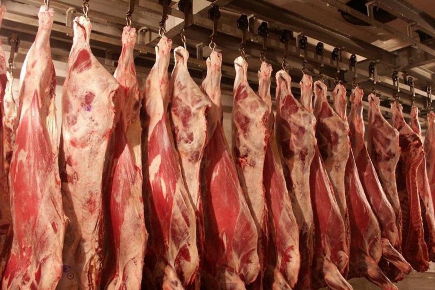 Казахстан укрепляет позиции на международном рынке животноводческой продукции