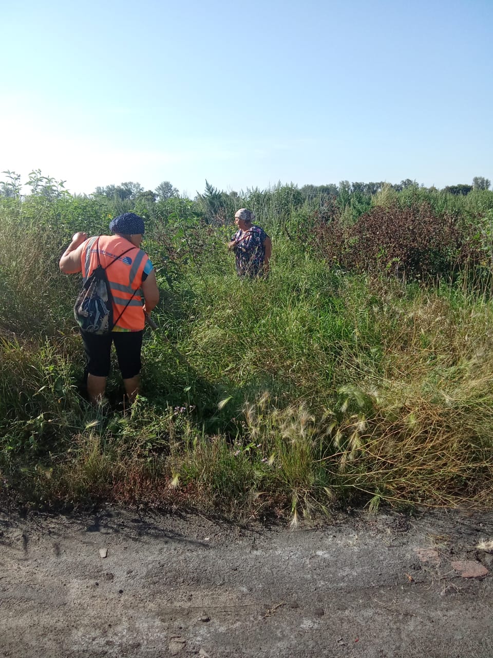 В сельском округе продолжаются работы в рамках экологической программы “Таза Казақстан”