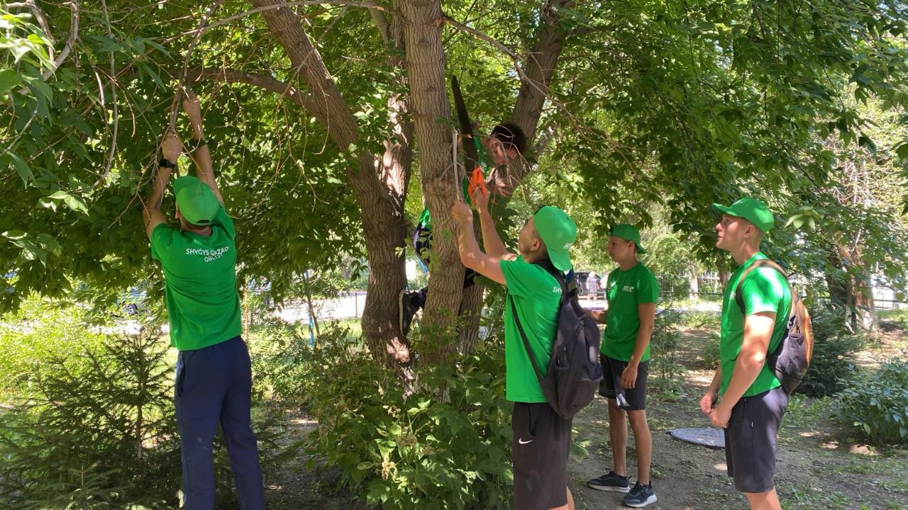 Шемонаихинская молодежь вносит вклад в акцию «Таза Қазақстан» в рамках проекта «Жасыл Ел»