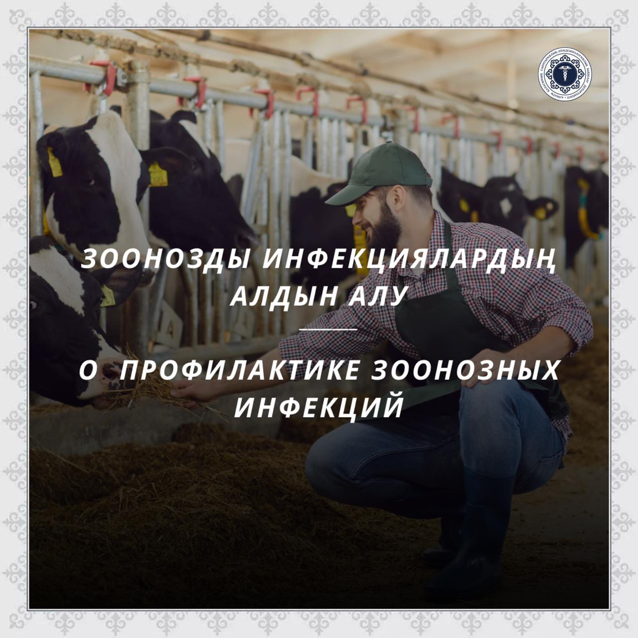О  профилактике зоонозных инфекций