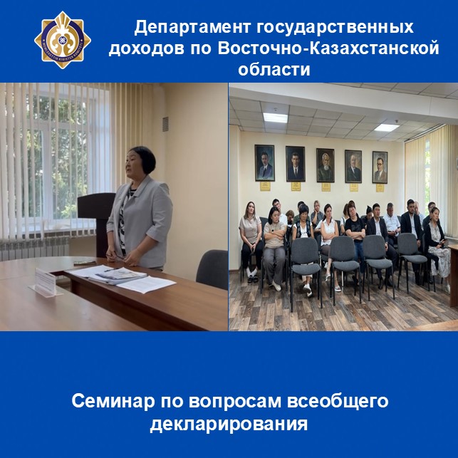 Семинар по вопросам всеобщего декларирования