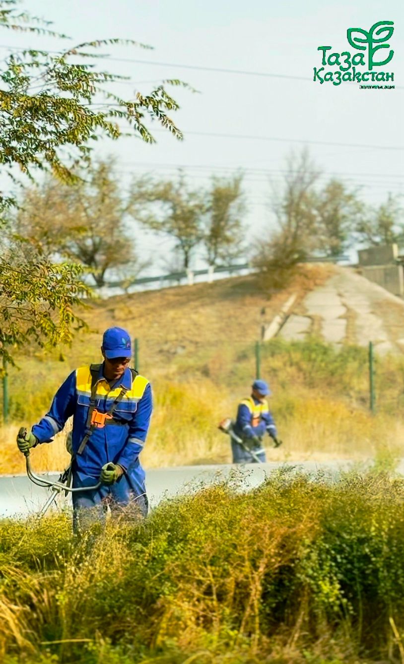 🌿 Чистый город — чистая страна!