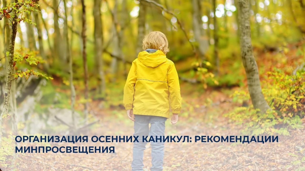 Организация осенних каникул: рекомендации Минпросвещения