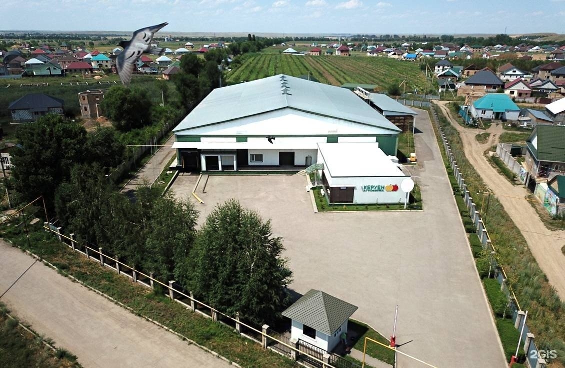 В Карасайском районе успешно развивается производство по переработке плодоовощной продукции