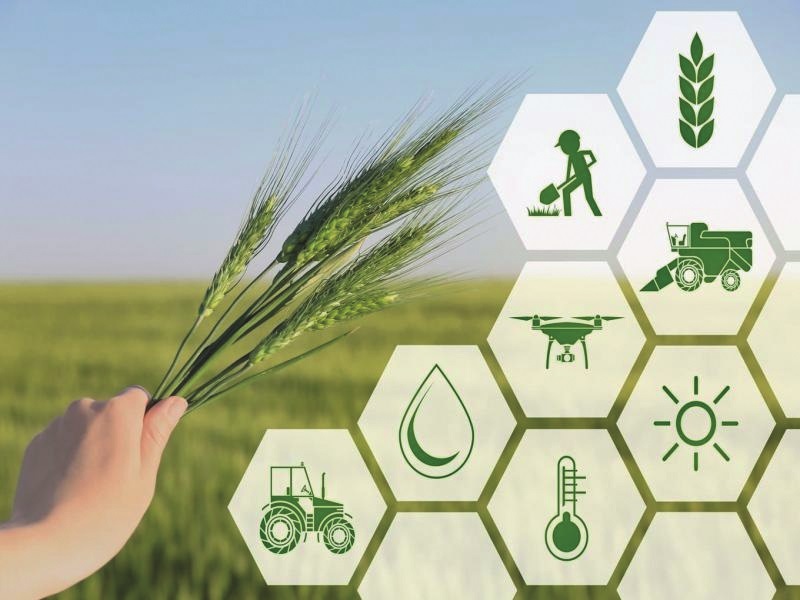 «Ауыл аманаты»: реальная поддержка для сельчан