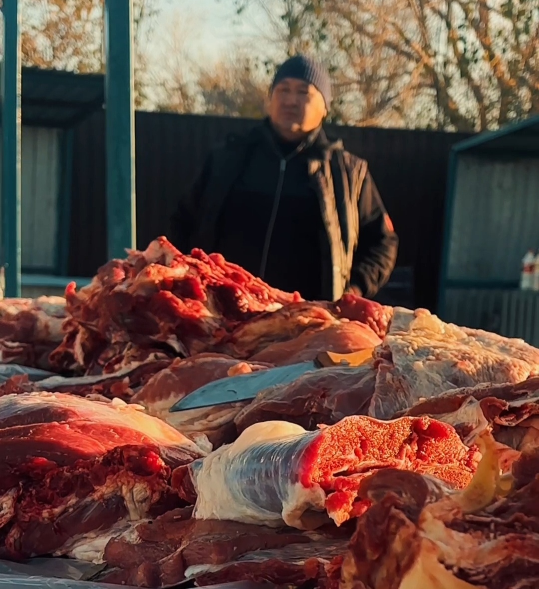 🇰🇿 В селе Мартук в честь Дня Республики прошла сельскохозяйственная ярмарка