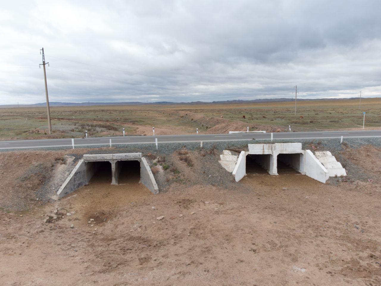 Подготовка Павлодарской области к паводковому периоду 2026 года