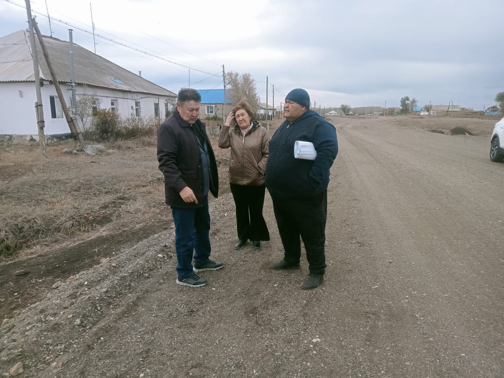 Депутатский контроль