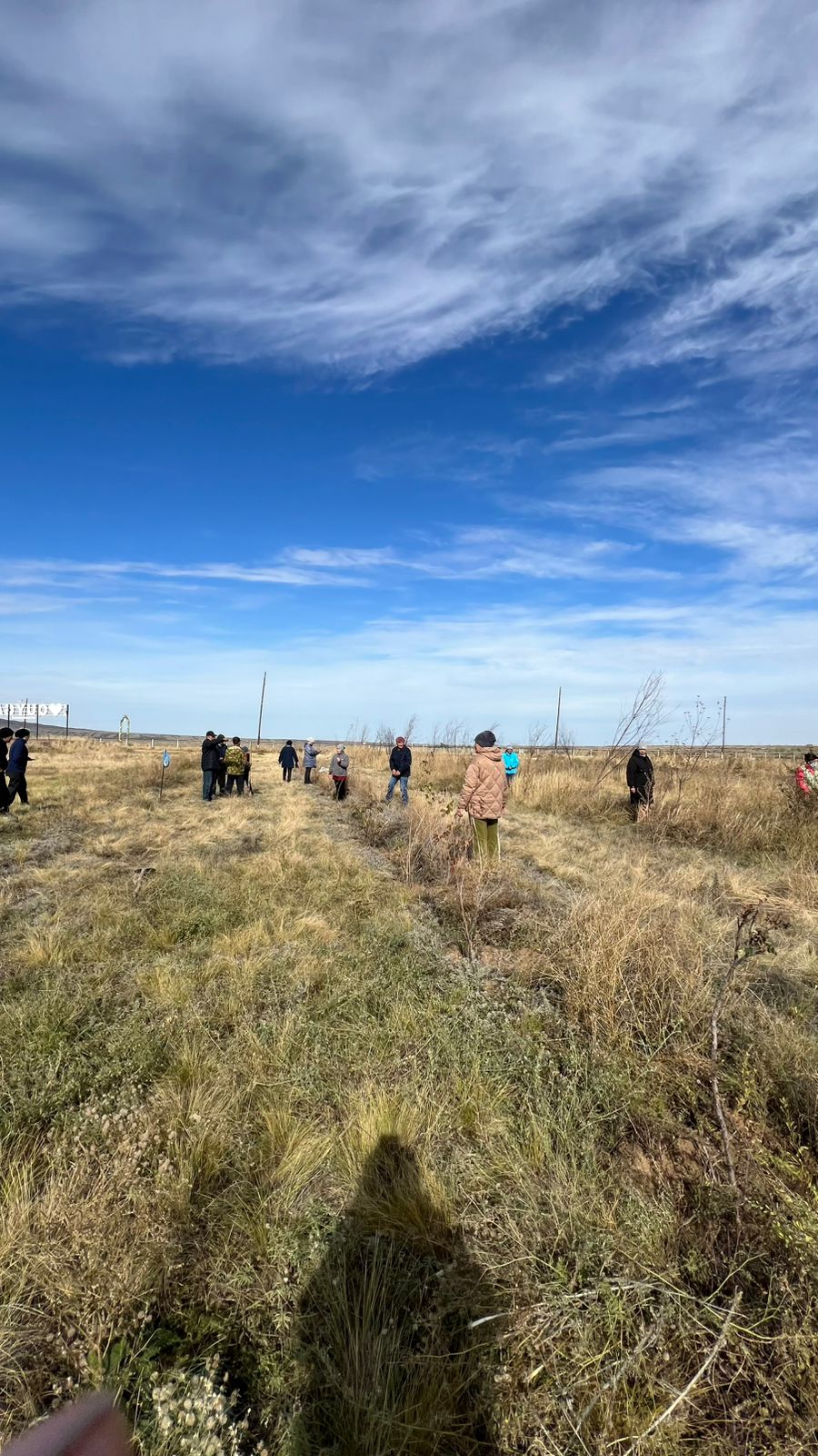 В Куйганском сельском округе проведено озеленение.
