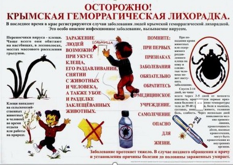 Крымская геморрагическая лихорадка