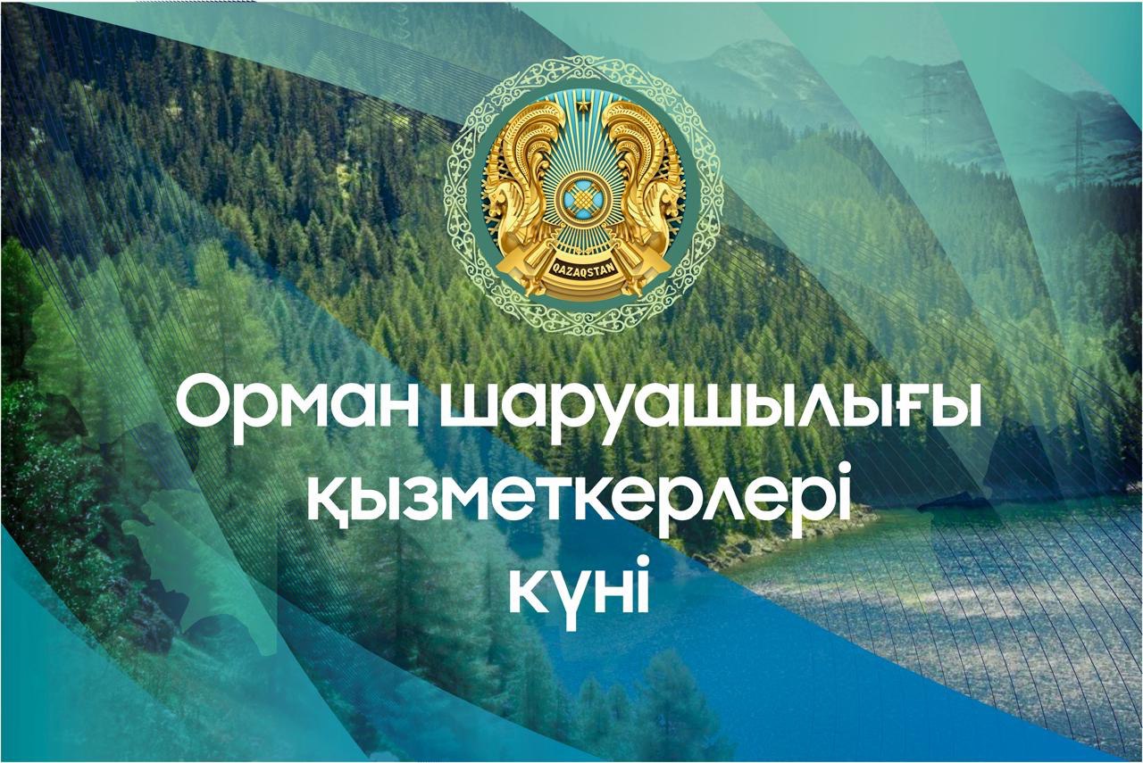 Профессиональный праздник – День работников лесного хозяйства
