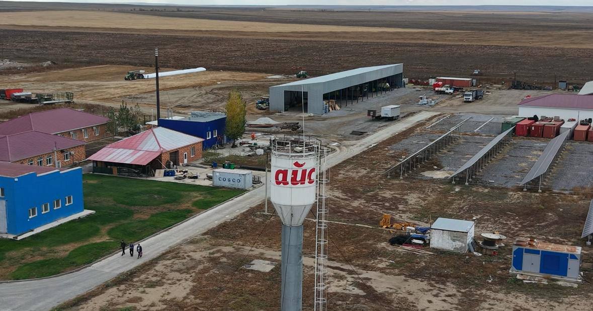 В Актюбинской области ТОО «Айс» привезло из Дании 330 голов племенного скота