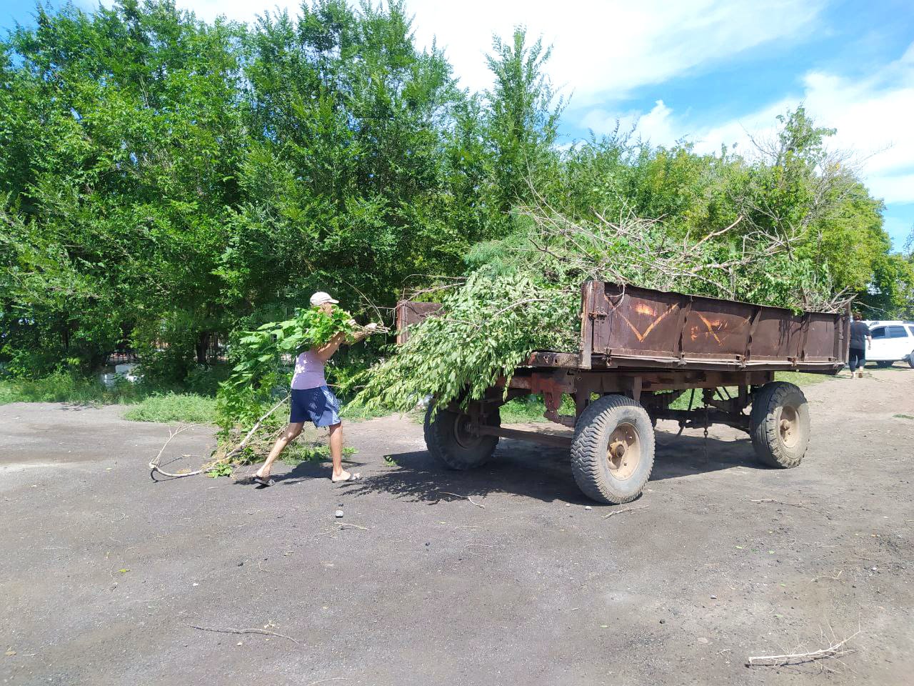 САНИТАРНАЯ ОБРЕЗКА ДЕРЕВЬЕВ В СЕЛЕ МҰЗБЕЛ